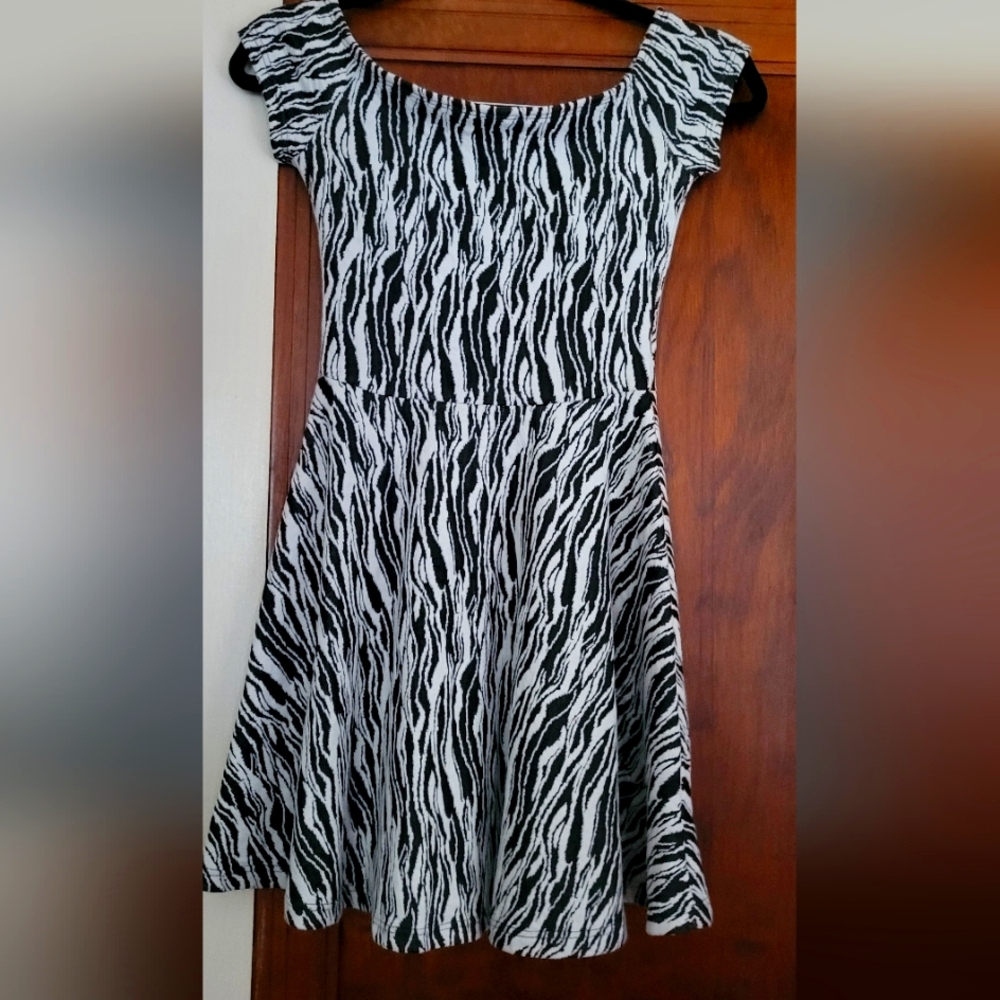 Zebra Skater Boho Disco Tango Dress #13
